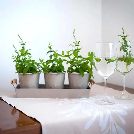 Appartement Banko